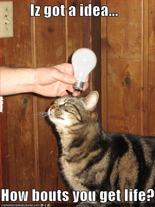 funny-pictures-lightbulb-cat-get-a-life