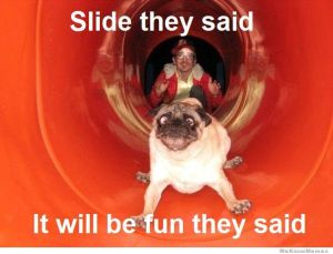 slide-they-said-itll-be-fun-they-said